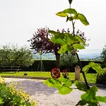 Cinguettio -relax Con Jacuzzi- Fermo