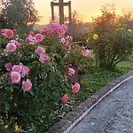 Villa Cinguettio -relax Con Jacuzzi-