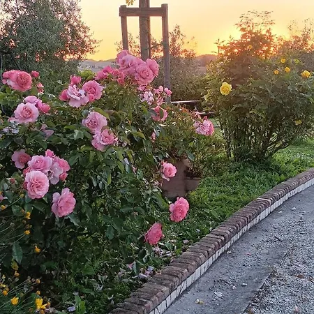 Villa Cinguettio -relax Con Jacuzzi-